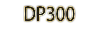 Logo DP300